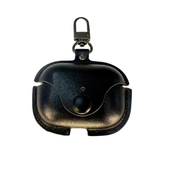 TWS Protective case