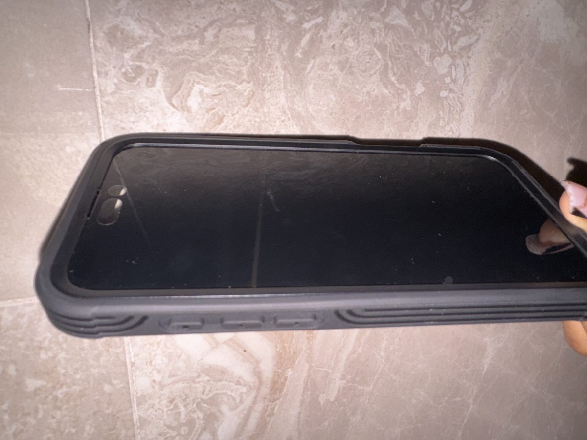 iPhone 16promax 256giga